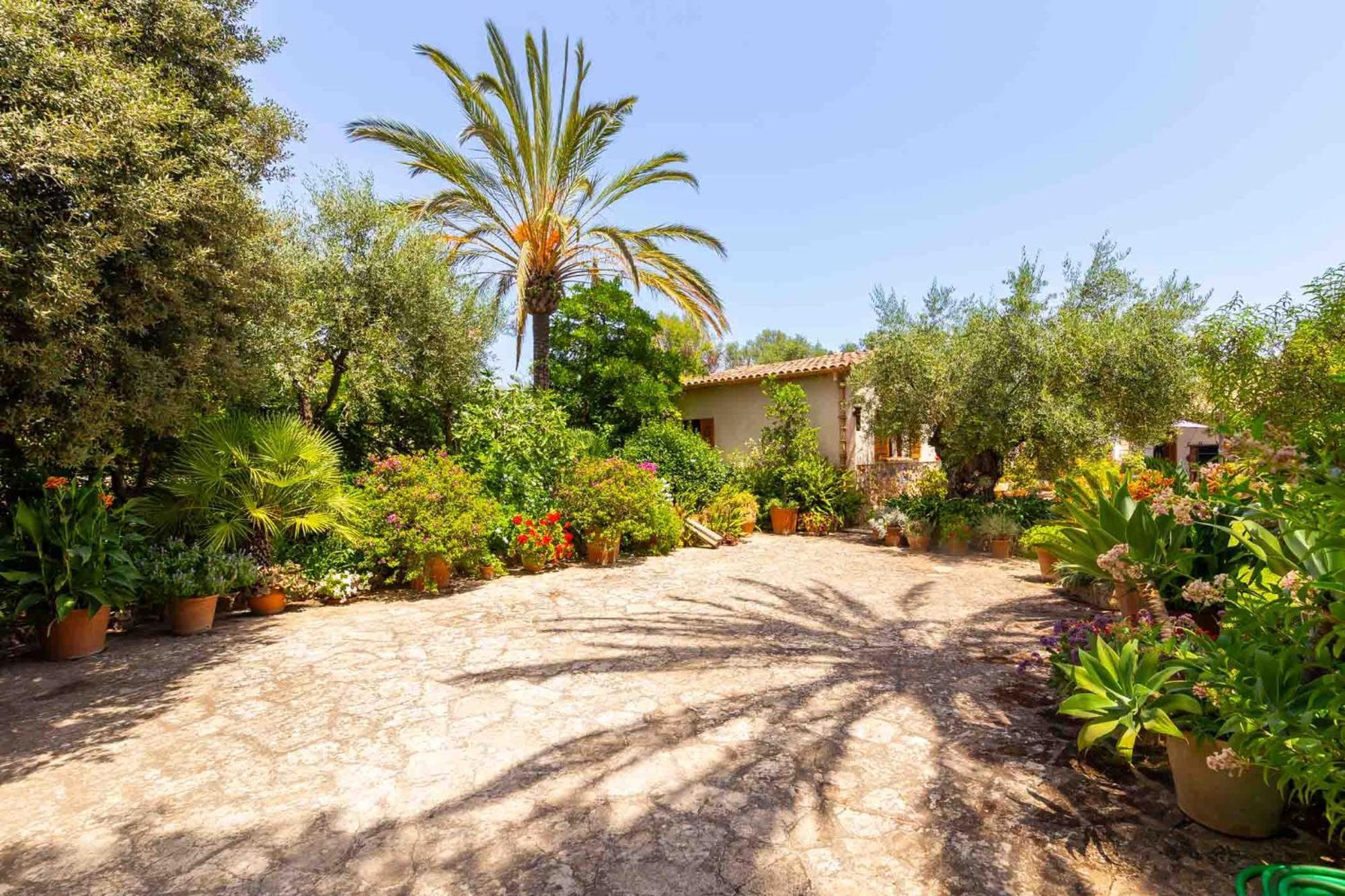 Can Vadell Pollença Extérieur photo